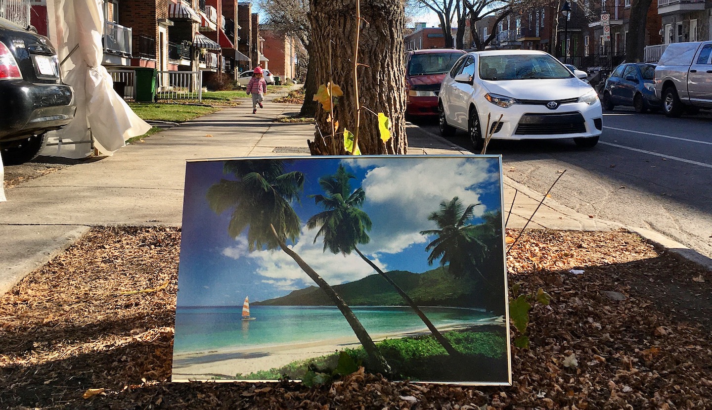 Tableau de plage posé contre un arbre dans la rue