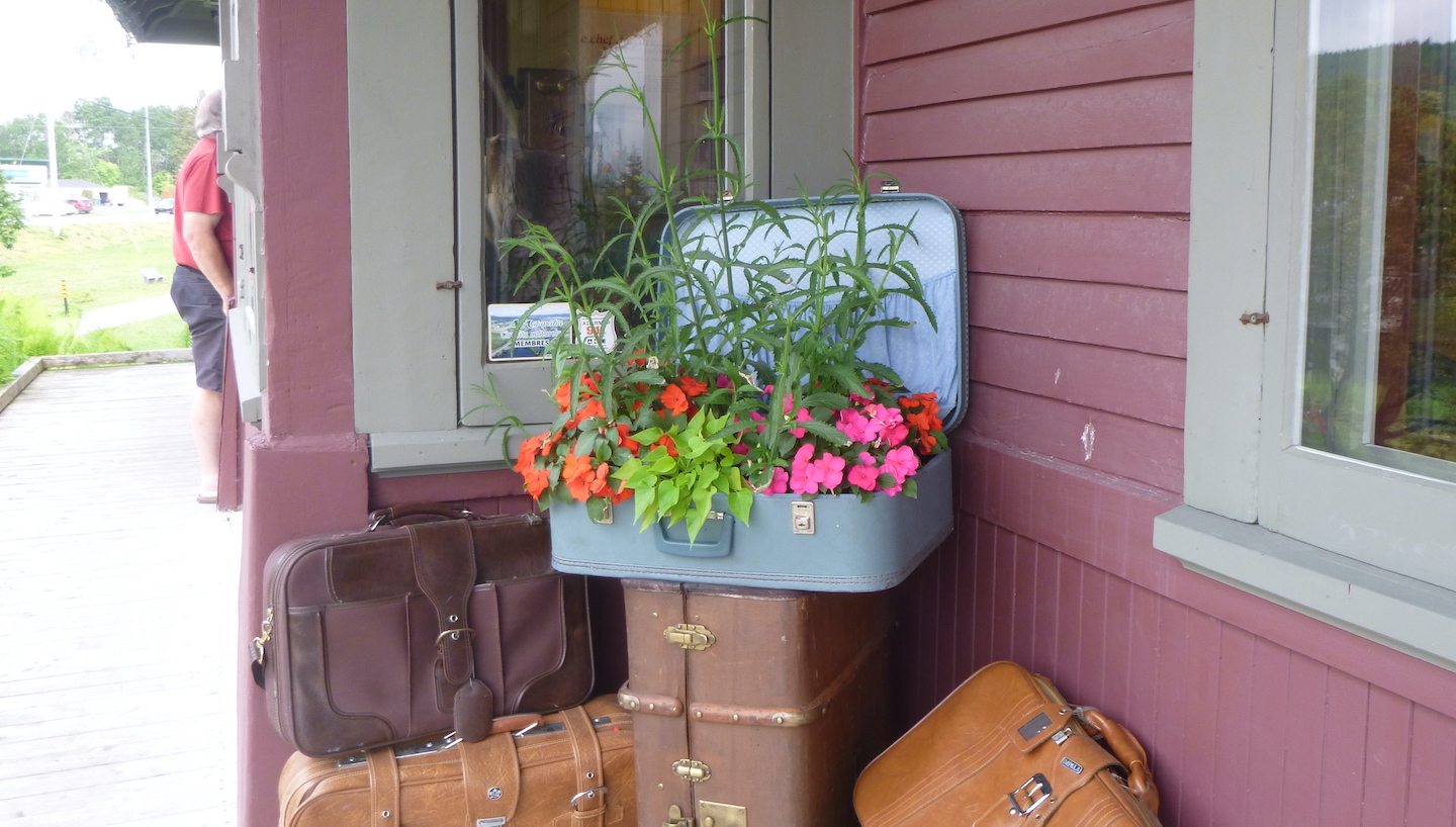 Tas de valises dont une ouverte contenant des fleurs