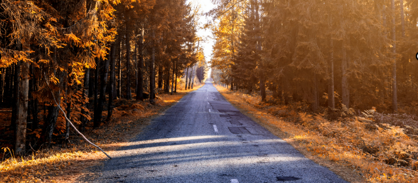 Une route linéaire en automne bordée d'arbres de chaque côté