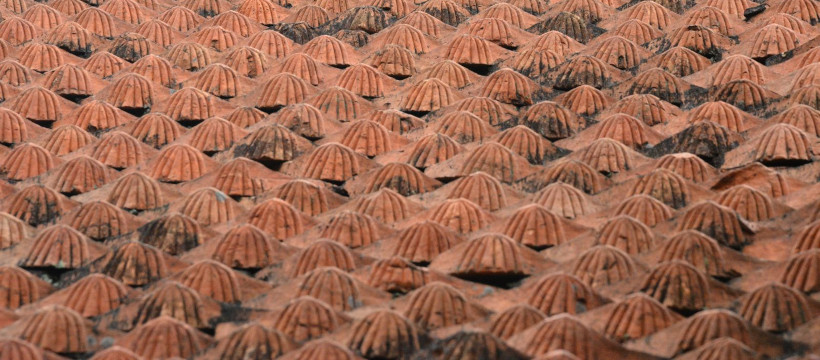 Multitude de patelles sculptées en métal orange.