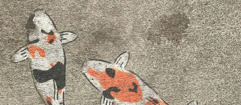 Gros plan sur carpes koï peintes sur béton.