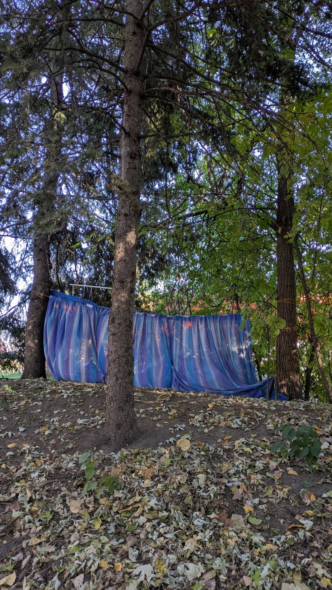 Bâche tirée entre deux arbres.