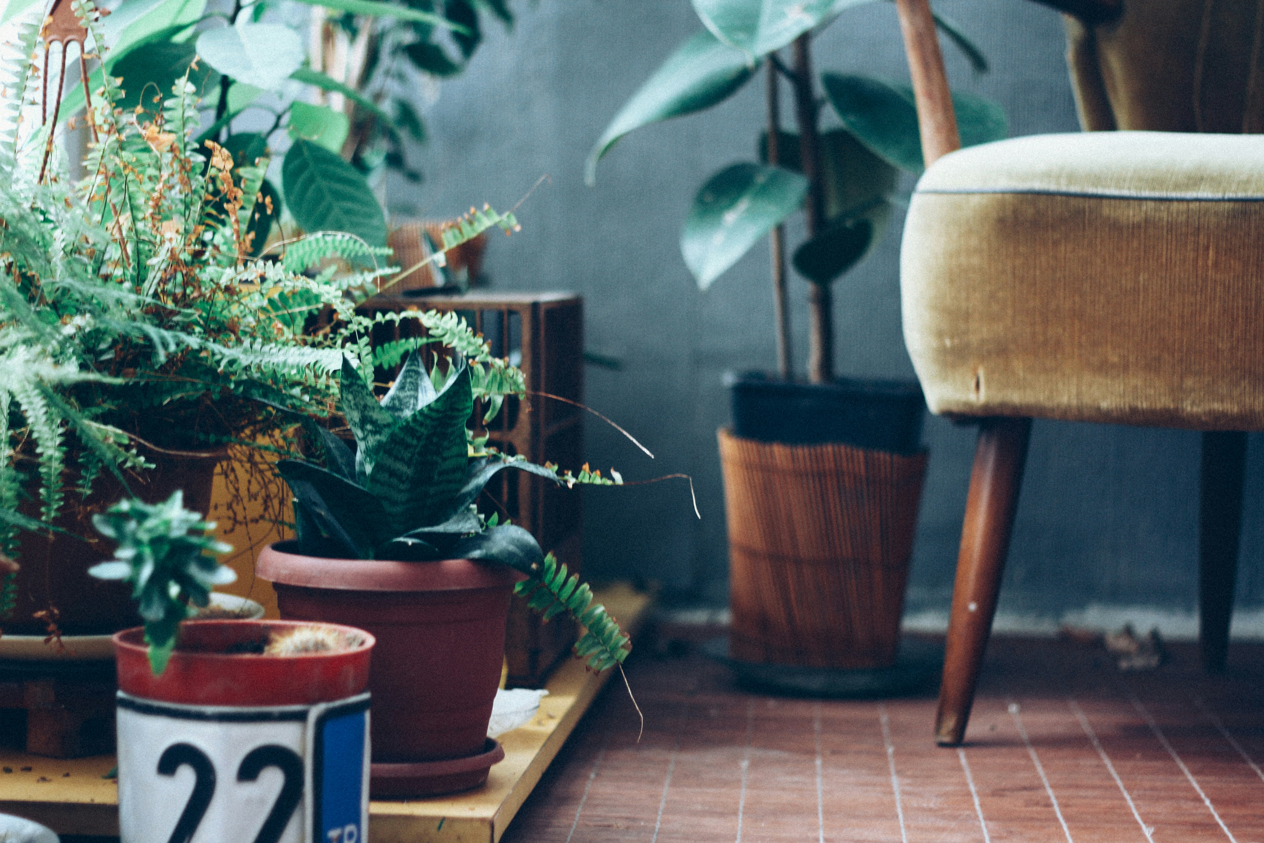 Bureau, chaise et plantes